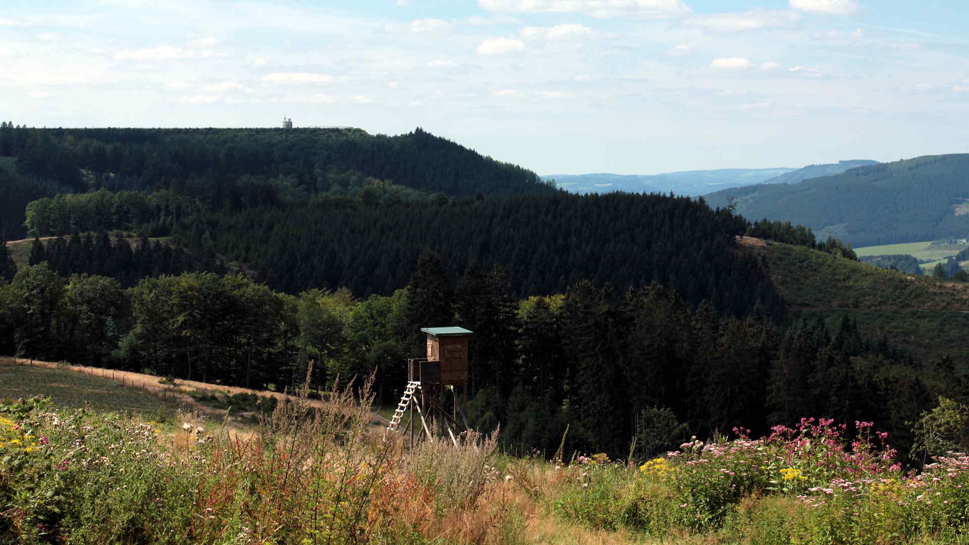 Blick über den Naturpark Sauerland-Rothaargebirge © altais.de