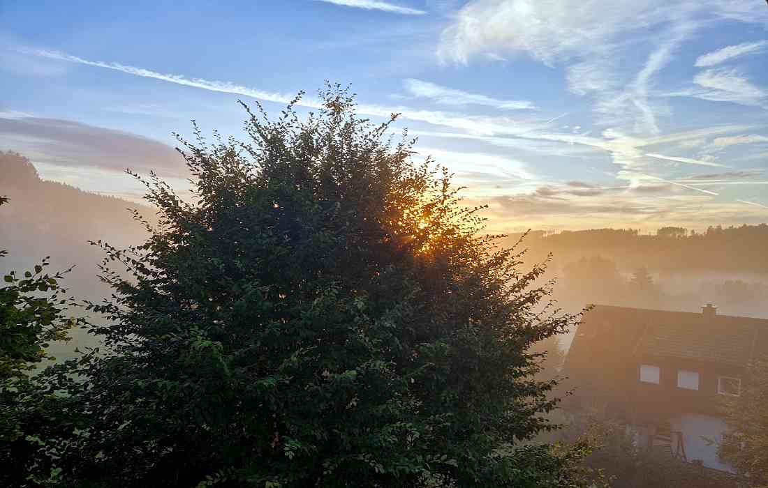 Faulebutter im Südsauerland - Bild: Michael Rohrmann