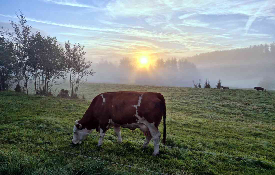 Faulebutter, Ortsteil der Gemeinde Finnentrop - Bild: Michael Rohrmann