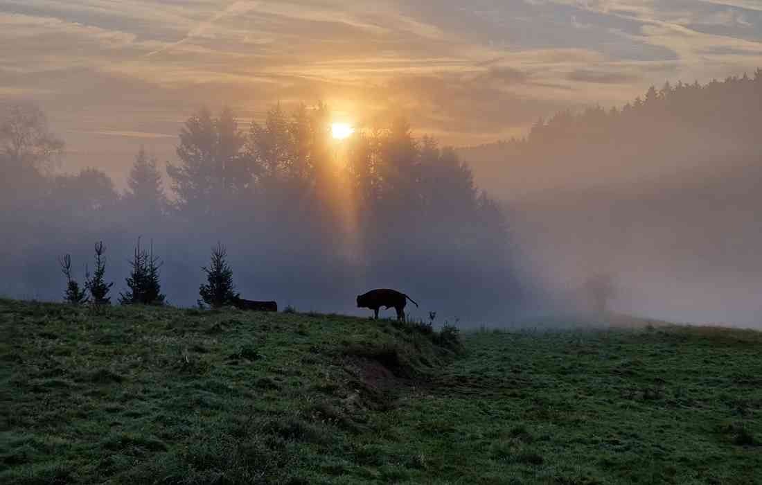 Die Landschaft rund um Faulebutter - Bild: Michael Rohrmann