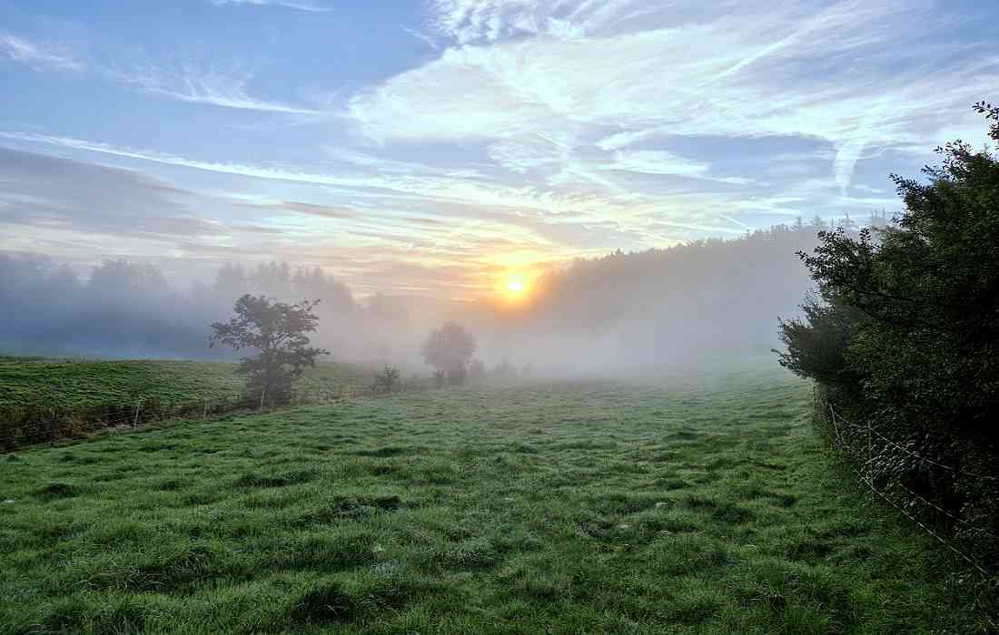 Der Blick über die morgendliche Landschaft in Faulebutter - Bild: Michael Rohrmann